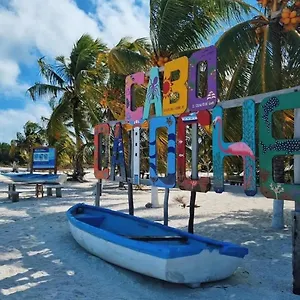 Mi Habitat Holbox-maravilla Natural Isla Holbox