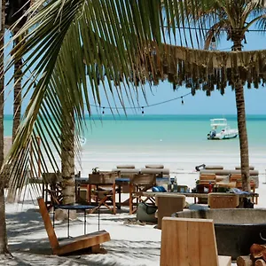 4* ホテル Casa Tortugas Petit &